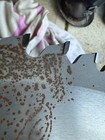 Jarraff 72 Tooth Forestry Saw Blade 24 X  180 X  260 New Unused Open Box