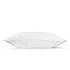 Pillowtex Classic Extra Firm Polyester Pillow 2-pack Standard Hypoallergenic