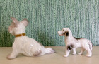 2 Vintage Ceramic Porcelain Dog Figurines   Terrier   Setter   Made In Japan