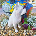 Boxer Dog Sitting 9 5  Ceramic Bisque Ready To Paint Pottery