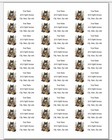 150 Primitive Wolf With Flowers Mailing Return Address Labels Personalized