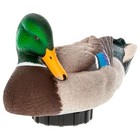 Avian-x Power Shaker Mallard Drake Motion Duck Decoy Floating Surface Preener
