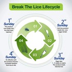 Mediker Anti Lice Treatment Shampoo With Neem   Coconut For Lice   Eggs   Reliev