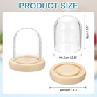 Glass Cloche Display Dome 3 1  X 2 5  Glass Dome Display Case Natural