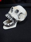 Vintage Japan Bisque Skull Incense Burner