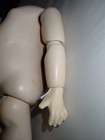 Vintage Composition Doll Body 11 1 2  Nice Looking