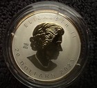 Canada 2023 20  Maple Leaf Sml Ultra High Relief Gold Plating 1 Oz Silver Coin