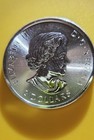Royal Canadian Mint 2018 Canadian Wildlife Polar Bear 1 2 Oz -9999 Silver  2 