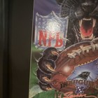 Nfl Carolina Panthers 1995 Inaugural Season Framed Poster Print Come Out Roaring