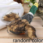 Funny Pet Dog Puppy Squeaky Duck Squeaker Plush Mallard Sound Play Chew Toy