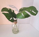 12  Artifical Plant Flower In Glass Vase