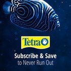 Tetra Whisper Bio-bag Large Filter Cartridges For Aquariums  12 Count 