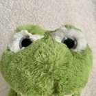 Dan Dee Spring Green Frog Plush 8    Collector   s Choice 2015