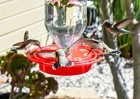 Best-1 Hummingbird Feeder Replacement Bottom Base Fits 8  32   72 Oz
