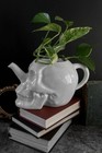 Killstar Cranium Plant Pot Vase One Size White Planters Women New Goth
