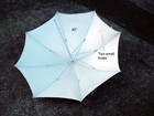 Photography 40  White Silver Umbrella Reflector Diffuser Flash Light    6    98