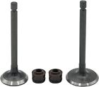 Cylinder Head Intake Exhaust Valves For Yamaha Ttr125 Ttr125l e Ttr125le 2000-18