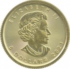 Random Date 1982-2024 Canada Gold Maple Leaf - 1 10 Oz -  5 Bu  9999 Fine