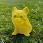 Glass Dandelion Yellow Bulldog Westmoreland Mold By Mosser Shining Eyes Gift