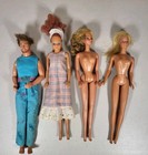 Mixed Lot Of Fashion Dolls As Is Vintage To Now Barbie Ken Skipper Vanna