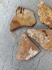 1715 Treasure Fleet Shipwreck Recovered Spanish Olive Jar Pottery Fragment