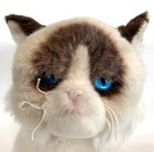 Gund Grumpy Cat Kitty Plush 10    Stuffed Animal Siamese Himalayan Blue Eyes  ec