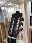 Flamenco Guitar 