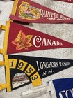 Vintage Travel Pennant Felt Banners Rare Lot Of 11 40s 50s 60s Tourist Usa Vtg