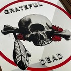 Vintage Grateful Dead Skull And Roses Mirror Dead Head Memorabilia Man Cave