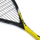 Tecnifibre Carboflex 125 Heritage 2 Squash Racquet 12car125h2