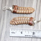Very Large Rattlesnake Rattle Earrings   1665  Mountain Man Earrings