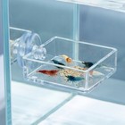 4pcs Reusable Transparent Acrylic Fish And Shrimp Feeding Dish With Suction