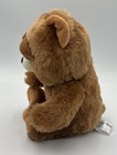 Feisty Pets Brown Grizzly Bear Plush 2015    sir Growls A Lot    Cute Angry 8    