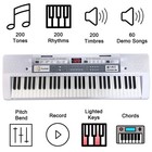 61 Key Electric Piano Keyboard With Lighted Keys  Digital Portable Synthesize   