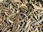 Large Deer Antlers C-grade  Dog Chews Natural Shed  Knives Crafts Buttons 3 Pcs