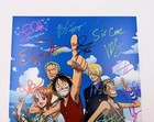 One Piece Cast Signed Poster 11x17 Luci Christian colleen Clinkenbeard    12 Jsa