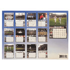 2026 St Louis Cardinals Official Team Wall Calendar - In Stock