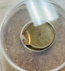 Nd Lincoln Cent Struck 95  Off Center Uniface  Mint Error Anacs Ms 62 
