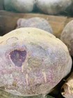 Ube Bliss  Fresh Purple Yam  Perfect For Desserts And More  5lbs 