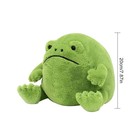 Ricky Rain Frog Plush Toy Super Soft Stuffed Animal Extra Cuddly Gifts For Kids