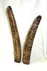 Rare 2 X Large Resin Replica Scrimshaw Walrus Tusks -america War Of Independence