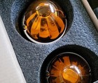 Amber blue Highpowered H11 Led Glass Watermelon Light Set Of 2  pair 