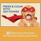 Pet Odor Remover Spray Eliminator Citrus Dog Cat Stain Urine Carpet 32 Ounces