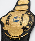 Wwe World Heavyweight Championship Belt Replica Adult 6mm Brass Plates Black