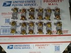  12  new harley Davidson Rare   Hog Pin  orig Harley Pin