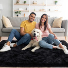 Fluffy Area Rugs For Living Room 4x5 3 Feet Black Rugs For Bedroom thick Shag Th