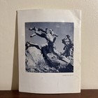 1958 Ghost Mines Of Yosemite By Douglas Hubbard