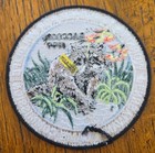 4  Wtfw 1999 Raccoon Patch Pennsylvania Game Commission