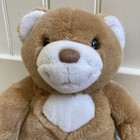 1988 Dakin Plush Teddy Bear Soft Classics Stuffed Animal Vintage Tan