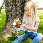   Rosie The Racehorse - Classic Music Jack In The Box Toy  Plush Brown Horse  Si